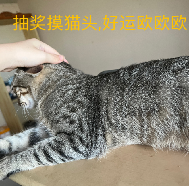 QQ截图20230713050230.png